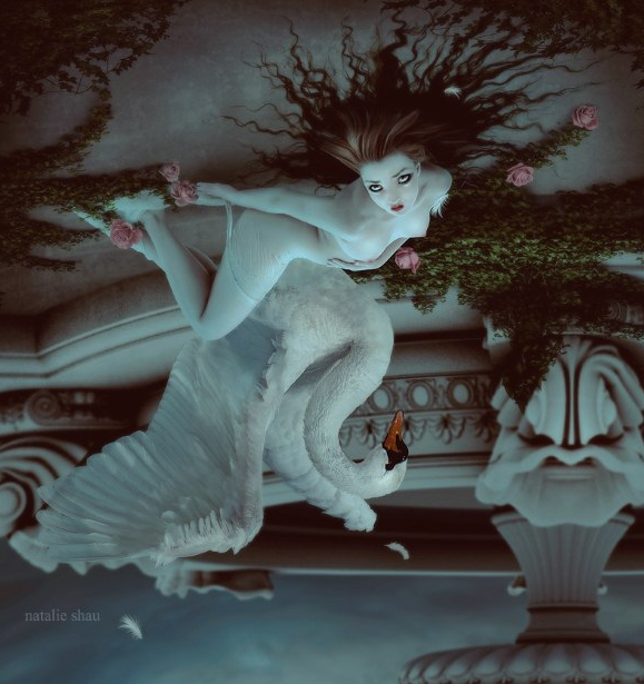 Carousel Image number 5